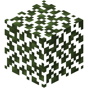 Birch Leaves
